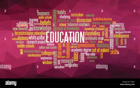 knowledge similar words.